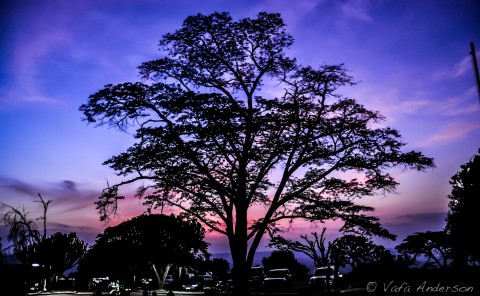 Gorgeous African Safari Sunset, Akagera National Park, Rwanda