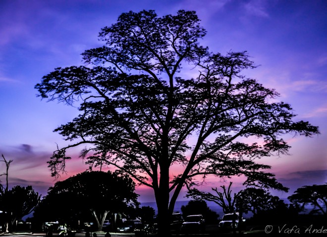 Gorgeous African Safari Sunset, Akagera National Park, Rwanda