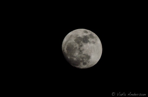 A Rare Sight in Tianjin China, The Full Moon